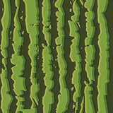 Green watermelon realistic seamless background pattern