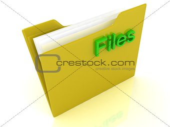 Yellow computer folder and green sign Files