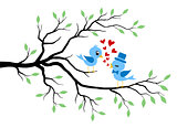 Kissing Birds in love at branch
