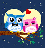 owl in love