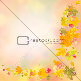 Colorful autumn background
