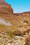Canyon in  Desert