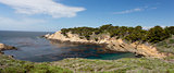 Point Lobos State Natural Reserve 