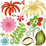 Set colorful floral design elements