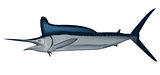 Marlin fish vector illustration