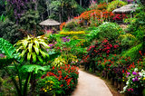 Landscaped colorful and peaceful flower garden in blossom