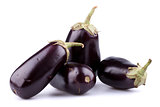 Eggplants or aubergines
