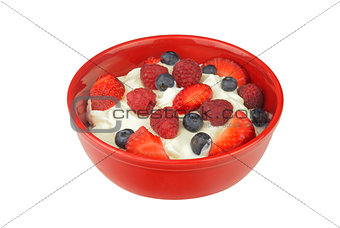 Yogurt with Fresh Berries Isolated