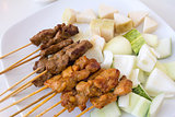 Mutton and Chicken Satay Dish