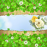 Wood background with clover