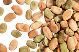 fava (broad) beans