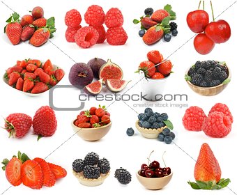 Collection of Berries