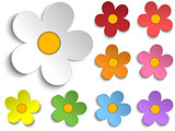 Beautiful Spring Flowers Collection Set of 9