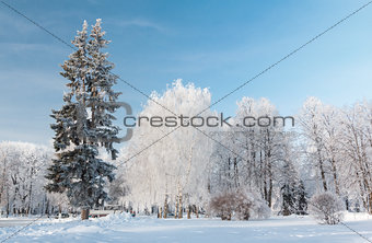 Urban winter landscape. Yaroslavl, Russia