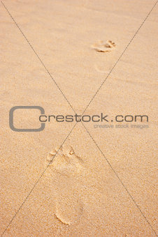 prints on beach