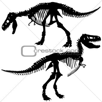 T rex skeleton