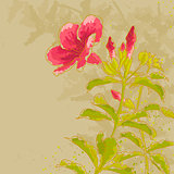 Allamanda flower on toned background