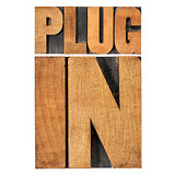 plugin (plug-in) in wood type