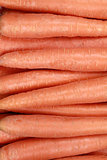 Collection of carrots