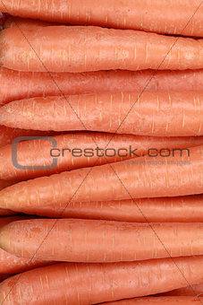 Collection of carrots