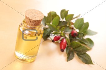 rose hip oil