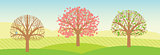 Spring trees with leaves and blossoms. Vector illustration