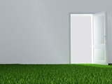 white wall, unclosed door and juicy green lawn