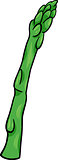 asparagus vegetable cartoon illustration