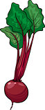 beet vegetable cartoon illustration