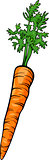 carrot root vegetable cartoon illustration