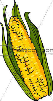 corn on the cob cartoon illustration