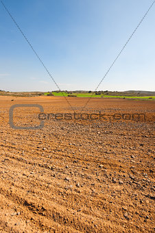 Field in Israel