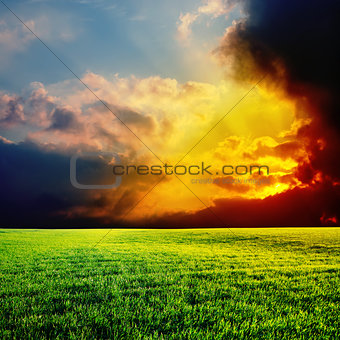 dramatic sunset over green field
