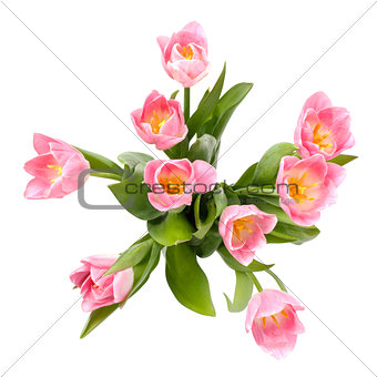 Bouquet of tulips, top view.