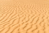Gold dunes in great indian desert