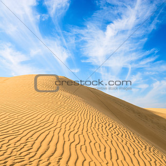 Gold dunes in great indian desert