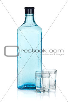 Gin bottle and two shots