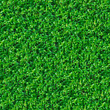 Seamless Texture. Green Meadow Grass.