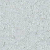 Seamless Texture of White Cracked Wall.