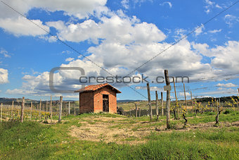 Rural house among vineyards. Piedmont, Italy.