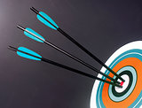 Three Blue Black Archery Arrows Hit Round Target Bullseye Center