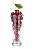 Ripe cherries in a cocktail glass