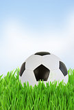 soccer ball in grass close up