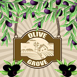Olive grove poster