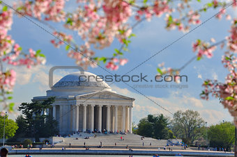 Jefferson memorial in cherry bloom