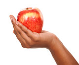 apple in hands