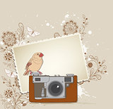 Old camera and bird