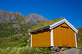 Shed with green roof