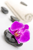 Violet orchid flower on a spa stone