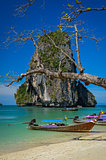 Phra Nang beach and island landscape view with tree and boat